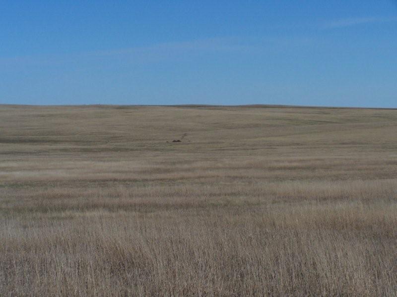 Grassland Prairie